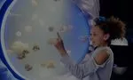 Sea Life London Aquarium : une petite fille émerveillée