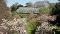 Kew Gardens admission ticket Kew Gardens admission ticket