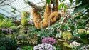 Kew Gardens admission ticket Kew Gardens admission ticket