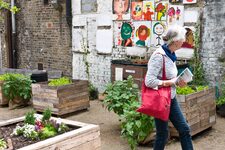 Dalston Eastern Curve Garden : L'Oasis Verte Cachée de l'Est de Londres