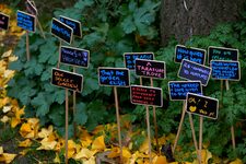 Exploration au Cœur de la Nature Urbaine : Phoenix Garden