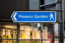 Exploration au Cœur de la Nature Urbaine : Phoenix Garden, un Oasis Caché