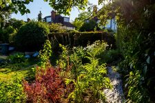 Exploration Verte à Dalston Eastern Curve Garden : Cultiver la Durabilité