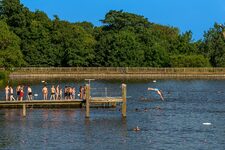 Hampstead Heath : La Beauté Sauvage au Cœur de Londres