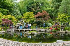 Kyoto Garden (Holland Park) : Un Refuge de Sérénité au Cœur de Londres