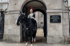 Le Musée de la Garde à Cheval de Londres : Histoire Militaire et Élégance Équestre