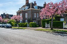 Londres au Printemps  Une Symphonie Touristique en Fleurs