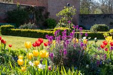 Londres, Ville en Fleurs  Une Promenade Printanière à Travers ses Jardins et Parcs