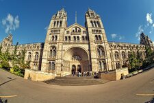 Musées de Kensington  Une Odyssée Culturelle à la Croisée de l'Art, de l'Histoire et des Sciences
