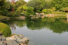 Phoenix Garden  L'Oasis de Londres et Son Histoire Captivante