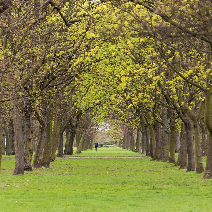 Exploring London's Hidden Oasis: A Guide to the Best Parks in the City - Conclusion